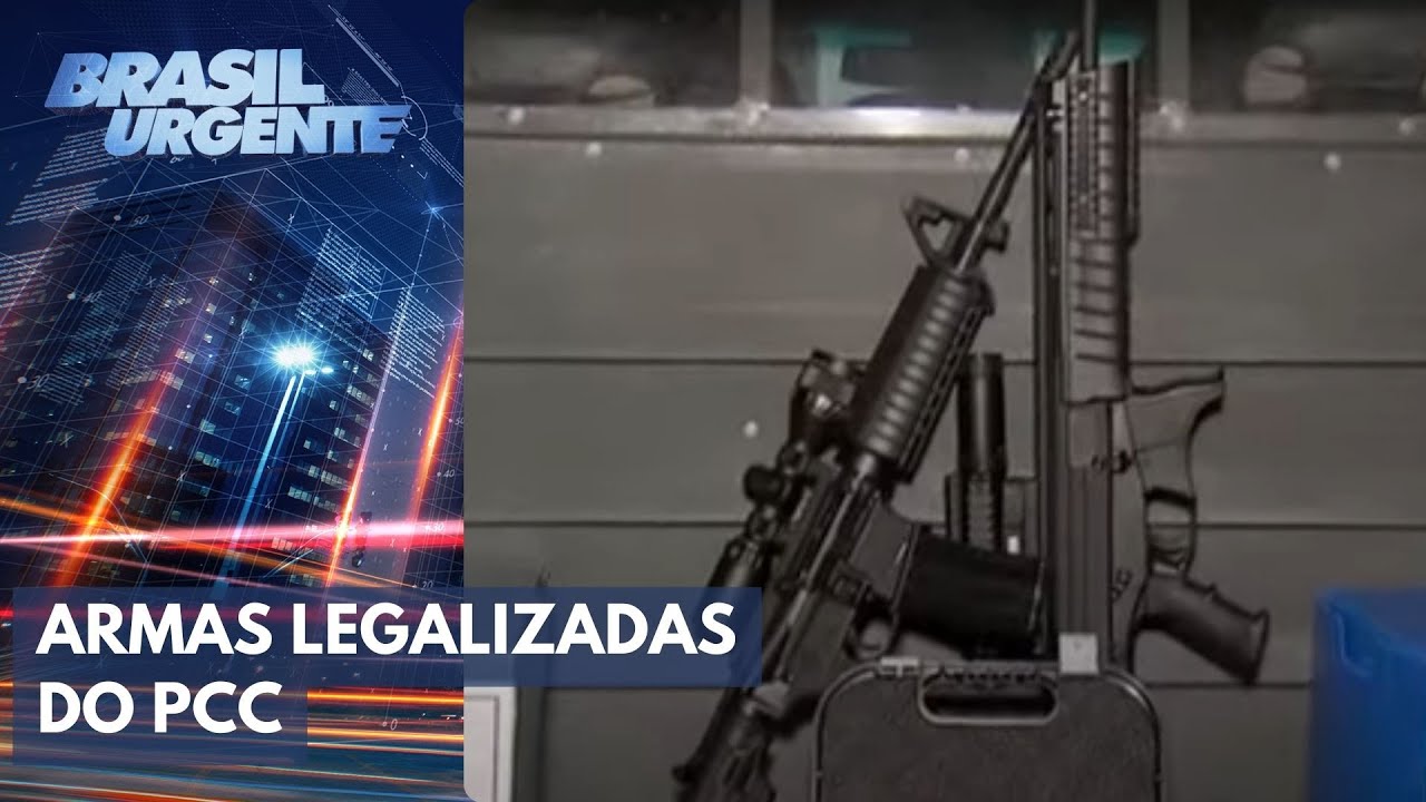 Todo Lo Que Necesitas Saber Sobre Las Armas Pcc Legalizadas Qu Son