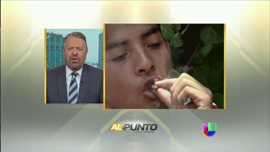 Legalizaci N De Drogas Conoce En Profundidad Sus Ventajas Y