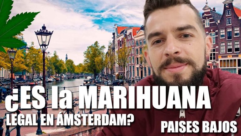 El efecto Amsterdam: Todo lo que debes saber sobre la legalización de la marihuana en la capital holandesa