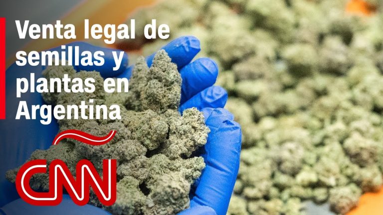 Argentina da un paso histórico: Legaliza el uso recreativo de la marihuana