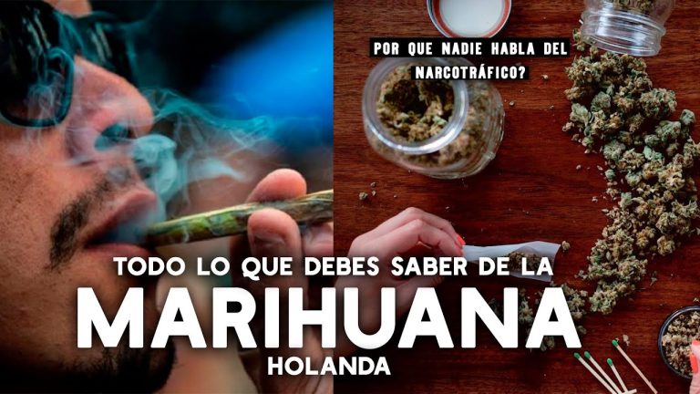 Cannabis en Holanda: Descubre los increíbles beneficios de su legalización en la sociedad