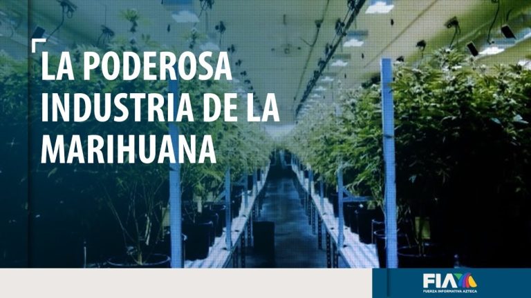 Los beneficios de legalizar la droga en México: ¿Qué impacto tendría en la economía y la sociedad?