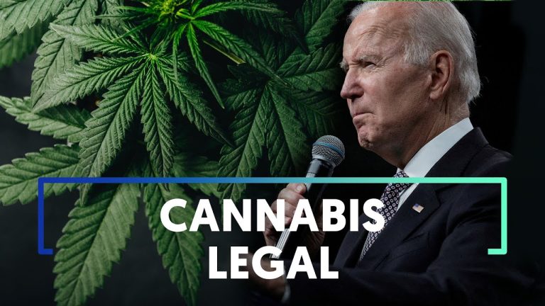La legalización de la marihuana bajo la presidencia de Biden: ¿Qué significa para el futuro de la industria?