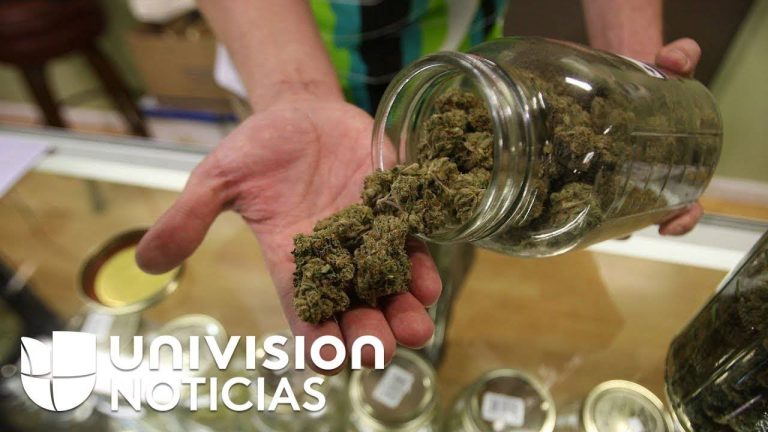 California legaliza las drogas: Todo lo que necesitas saber sobre la nueva ley de legalización en el estado