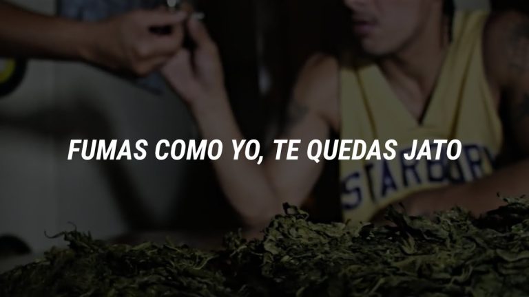 Descubre cómo la letra de ‘Legalizando el área’ de Calle 13 Cartel explica el proceso de legalización y sus beneficios