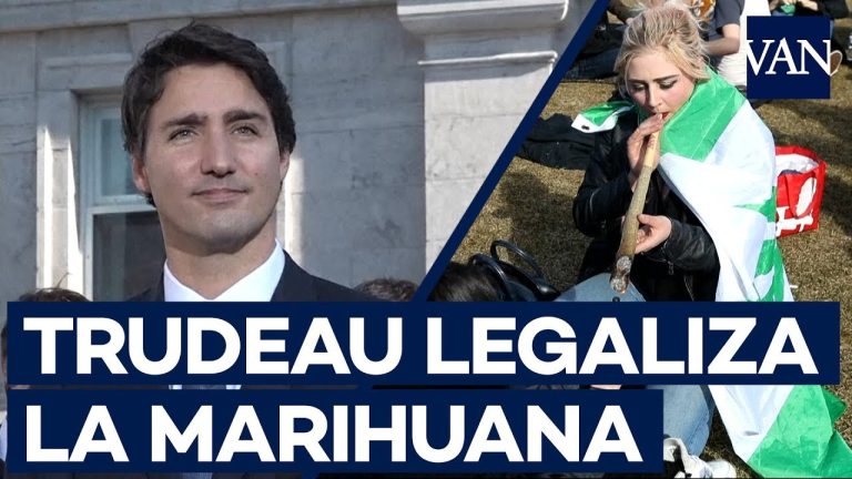 Canadá legaliza la marihuana: Todo lo que necesitas saber sobre la regulación del cannabis en el país