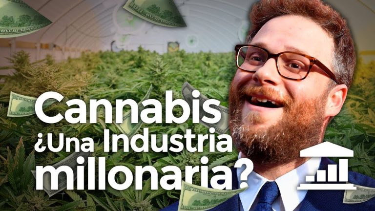 El camino hacia la legalización del cannabis: ¿Qué países lo han logrado?