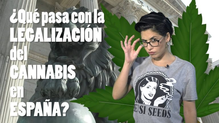 ¿Es la legalización del cannabis inminente en España? Descubre las últimas novedades y su posible impacto en la sociedad