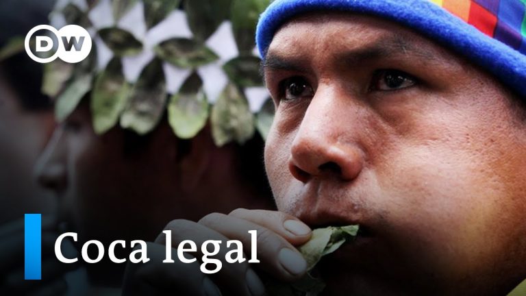 Colombia legaliza la coca: ¿Qué implica esta controversial decisión?