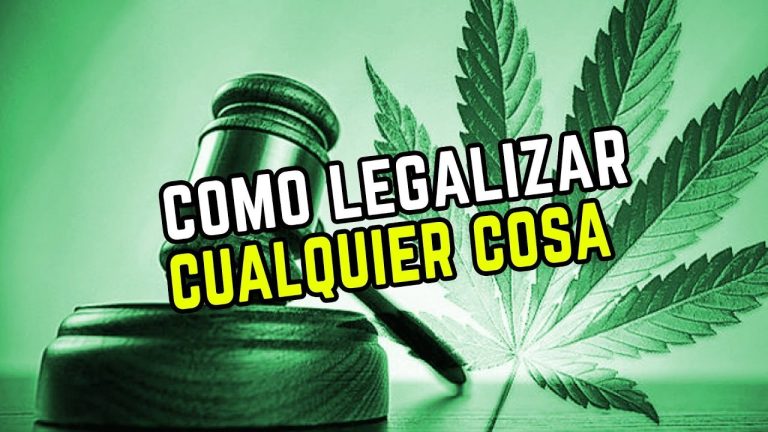 Guía Completa: Cómo Legalizar Cualquier Cosa en España – Pasos, Requisitos y Consejos para un Proceso Exitoso