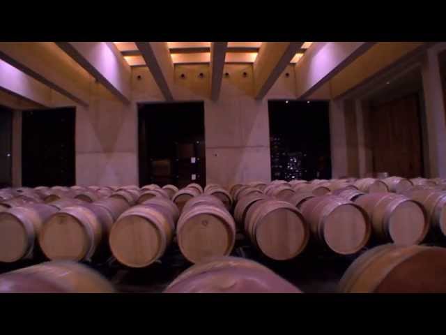 Guía completa: Cómo legalizar tu bodega de vino en Ourense en unos pocos pasos