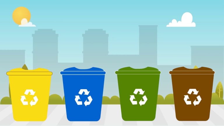 Guía definitiva: Cómo legalizar el reciclaje en tu empresa y cumplir con la normativa