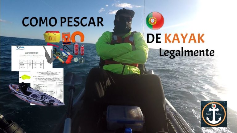 Todo lo que necesitas saber sobre cómo legalizar un barco en Portugal: Guía completa