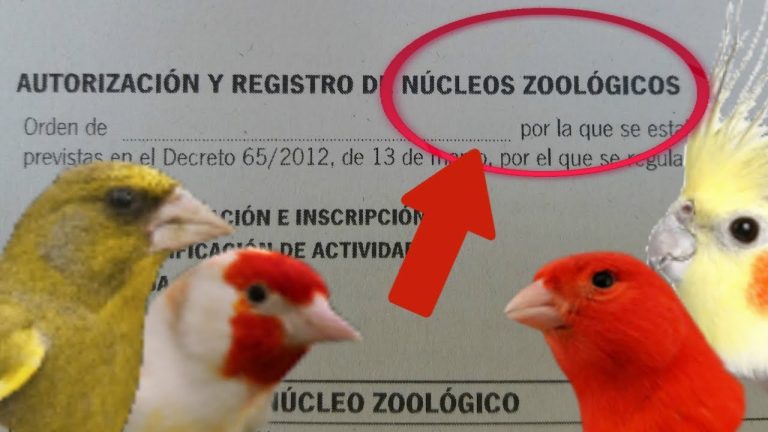 Guía completa: Cómo legalizar un núcleo zoológico en Los Montesinos de manera efectiva y sin complicaciones legales