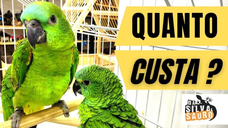 Comprar Papagaio Legalizado: Todo lo que necesitas saber sobre el proceso legal de adopción de aves exóticas en [nombre del país]