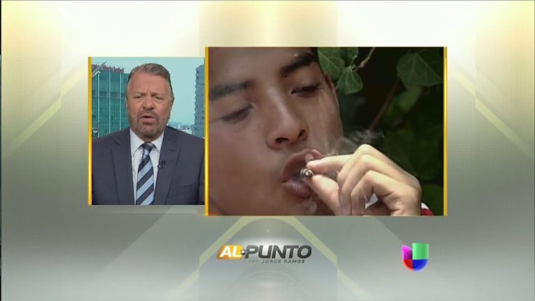 Descubriendo las desventajas de la legalización de la marihuana en México: ¿Por qué es un tema controversial para la sociedad?