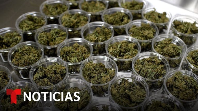 Estados de Estados Unidos que legalizaron las drogas: ¿Cuáles son y qué implica su legalización?