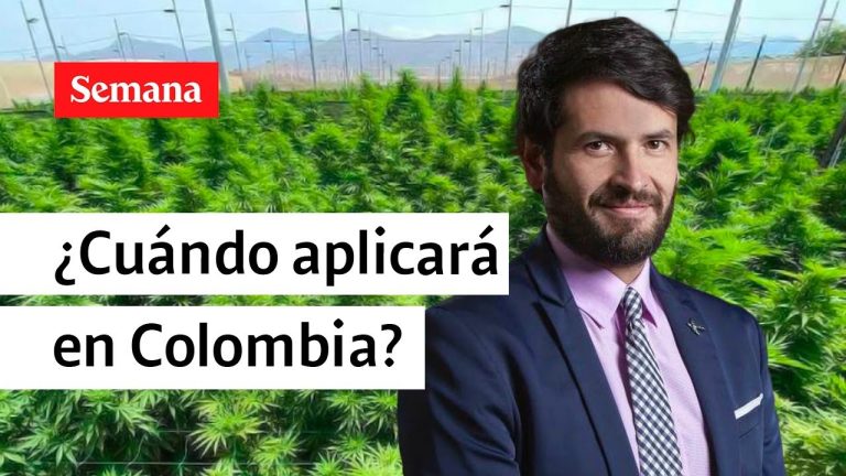 El camino hacia la legalización de la marihuana en Colombia: Avances y desafíos