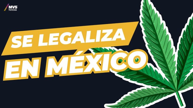 Todo lo que necesitas saber sobre la legalización de la marihuana en México – Guía completa de la nueva regulación