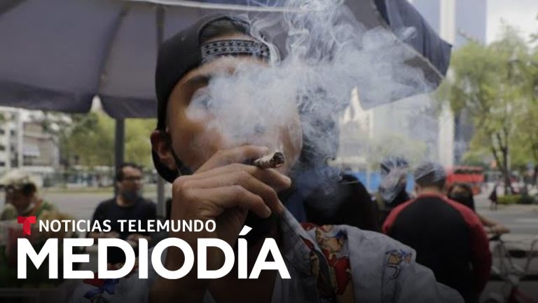 México legaliza la marihuana: Todo lo que necesitas saber sobre la regulación del uso de la cannabis en el país