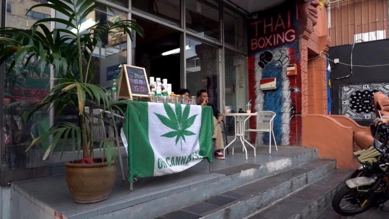 La legalización de la marihuana en Tailandia: un hito histórico en la lucha por los derechos de los consumidores de cannabis