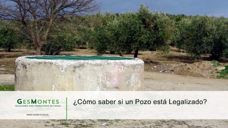 Descubre todo sobre la legalización de pozos en Martos: ¿Cómo saber si tu pozo está legalizado?