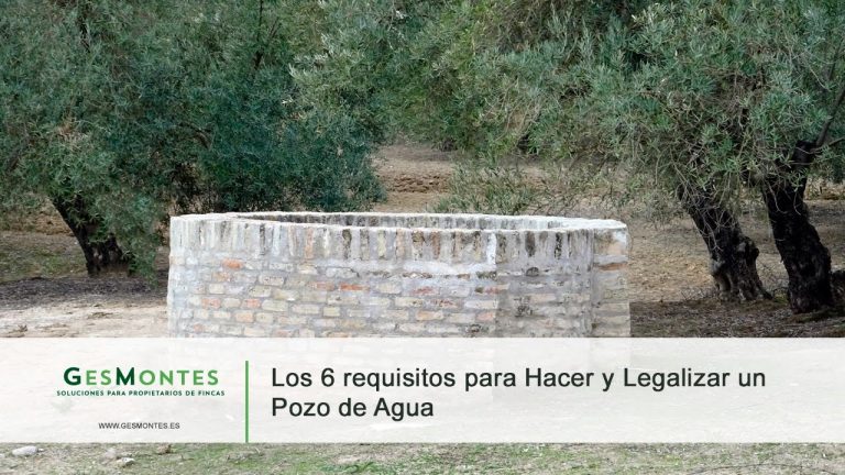Conoce las condiciones para legalizar un pozo de agua en la CHG para uso doméstico: Guía paso a paso