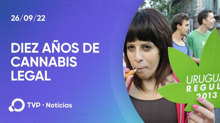 La historia detrás de la legalización del cannabis en Uruguay: ¿Cuándo y cómo se logró?