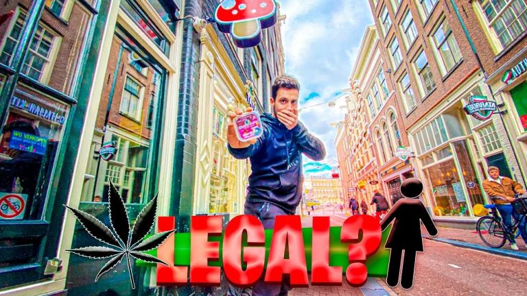 Descubre la historia detrás de la legalización de la droga en Amsterdam