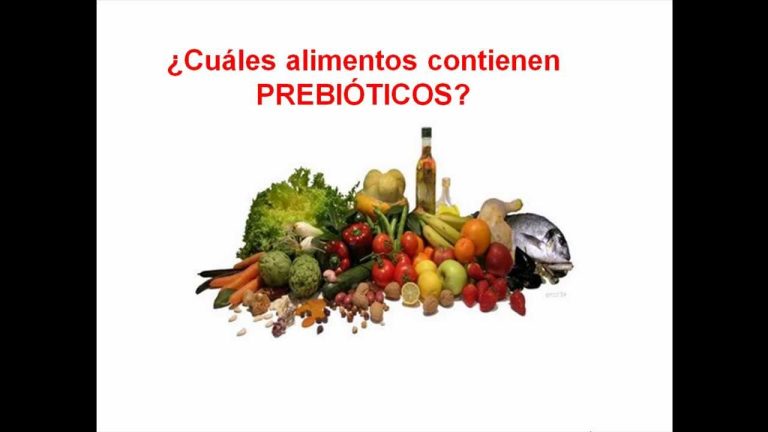 Curso de legalización de probióticos en alimentos: Aprende todo lo necesario para certificar tus productos y cumplir con las regulaciones