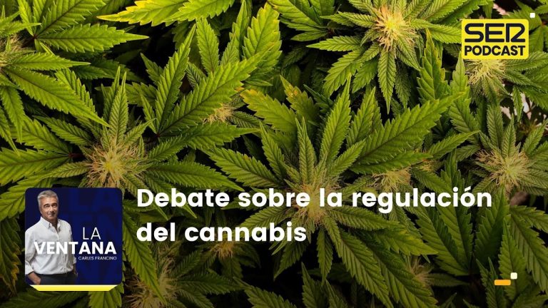 El debate candente sobre la legalización de la marihuana en España: ¿Por qué su legalización es un tema importante que debe ser discutido?