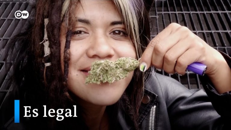 El Descenso del Consumo de Marihuana en Países Legalizados: ¿Un Reflejo de su Regulación?