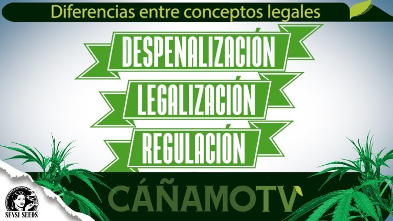 Drogas en España: Diferencias Cruciales entre Despenalización y Legalización