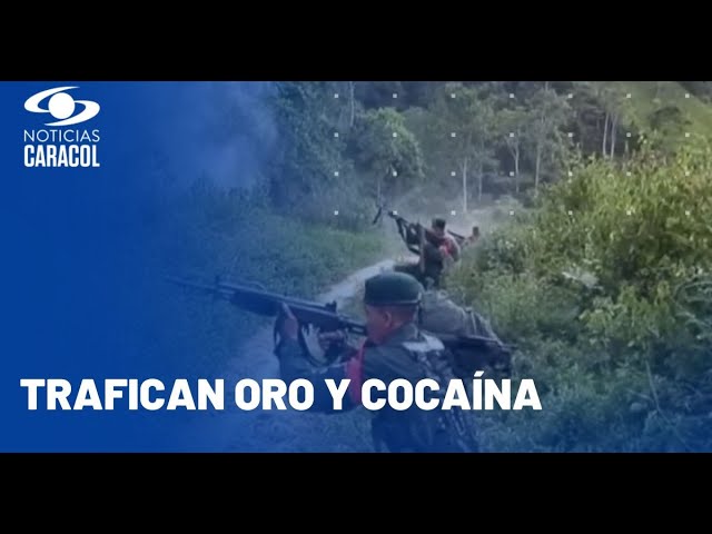 La legalización de drogas en Venezuela: ¿Una solución para el problema del narcotráfico en el país?
