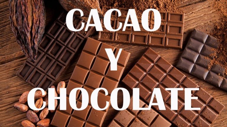 Explorando la legalización de sustancias: ¿Podría el chocolate ser la próxima droga legal?