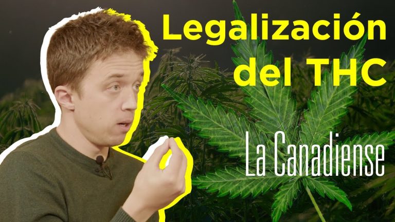 Errejón defiende la legalización: ¡Conoce su postura y los argumentos a favor!