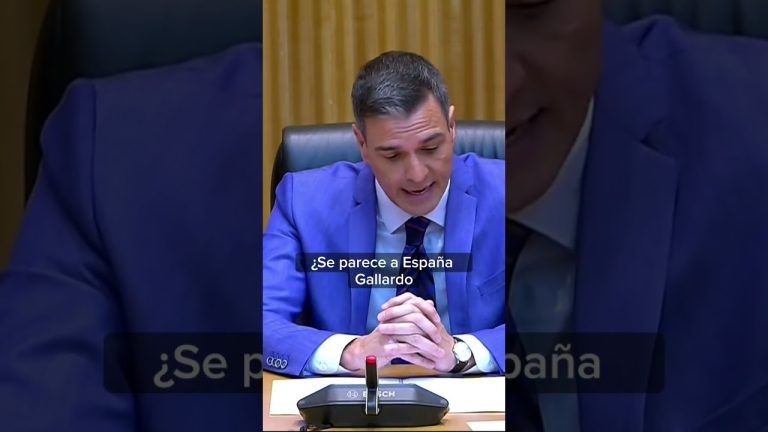 La fecha de legalización del PSOE: Todo lo que debes saber en 2021 para estar al día en materia de legalizaciones