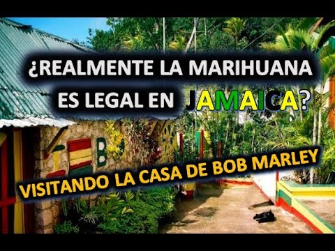 Jamaica se convierte en un referente mundial al legalizar la marihuana: conoce más sobre esta ley histórica en nuestro blog de legalizaciones