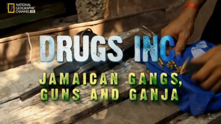 Descubre la verdad sobre la legalización de drogas en Kingston, Jamaica: ¿Es la solución a la violencia y el tráfico?