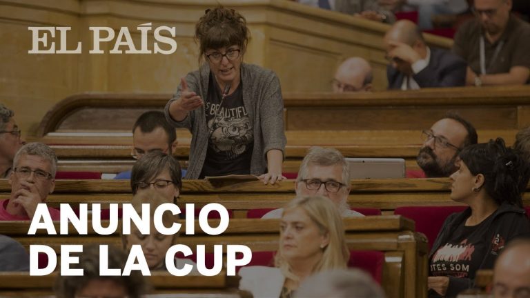 Todo lo que necesitas saber sobre la legalización de la cup en España