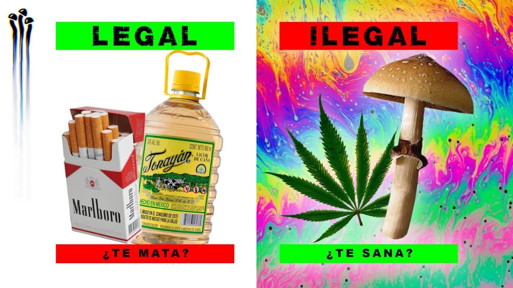 Por Qu Deber Amos Legalizar Las Drogas Descubre Los Argumentos M S Poderosos En Favor De Una