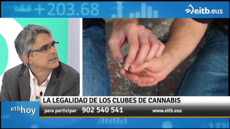 El futuro de los clubs de cannabis en Canarias: ¿Hacia la legalización?