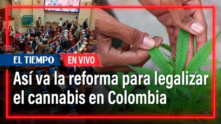 ¿Está Colombia lista para la legalización de la marihuana? Descubre los avances y obstáculos en el camino