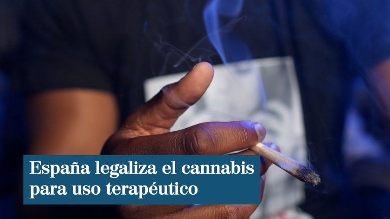 Todas las claves sobre la legalización de la marihuana medicinal en España: ¿Qué esperar en el futuro cercano?