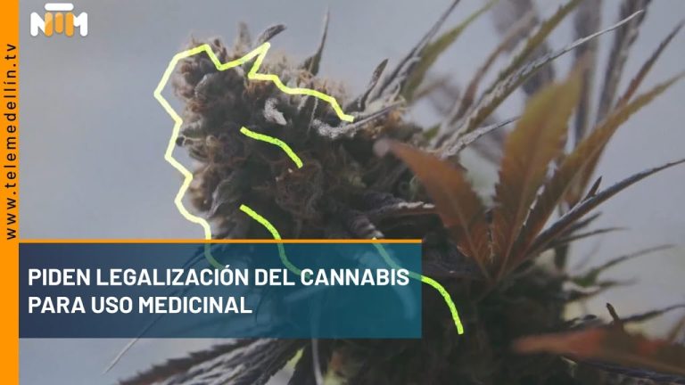 Toda la información que necesitas saber sobre la legalización de la marihuana para uso medicinal: beneficios, legislación y futuro de esta tendencia