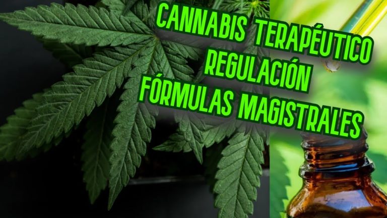 Toda la verdad detrás de la legalización del cannabis terapéutico: ¿Qué debes saber?