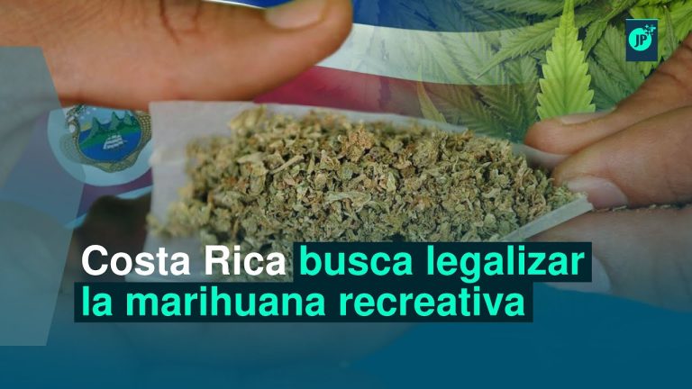 ¿Cuáles son las razones detrás de la legalización del consumo de marihuana?