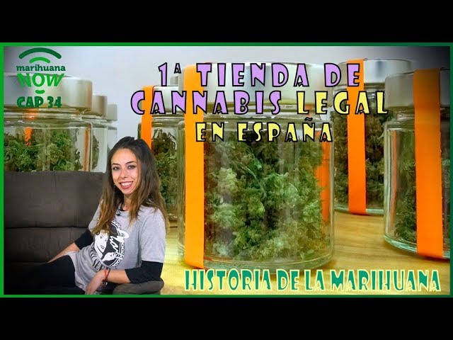 Toda la Verdad sobre la Marihuana Legal Sin THC en Río Grande del Sur: Descubre cómo España ha dado el Paso Definitivo en su Legalización