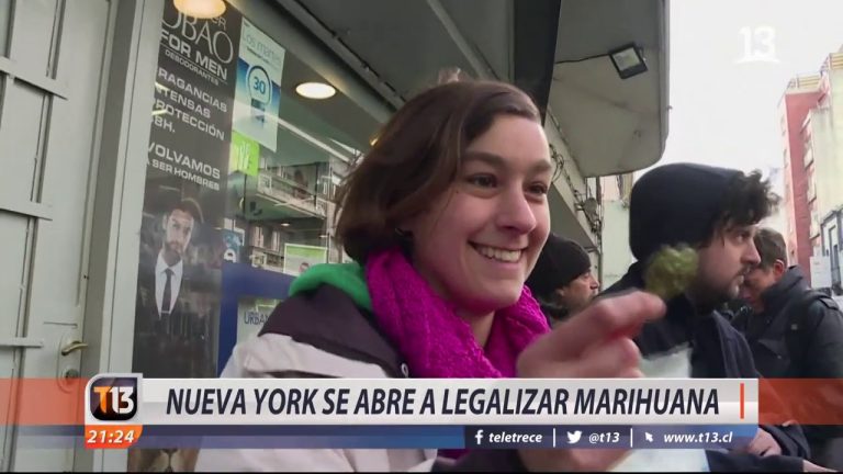 Todo lo que necesitas saber sobre la legalización de la marihuana en Cantabria