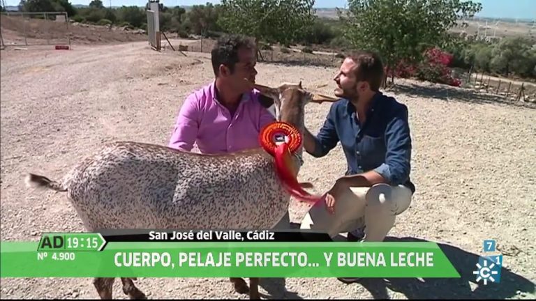 Descubre Todo lo que Necesitas Saber sobre la Legalización de 3 Cabras en Andalucía